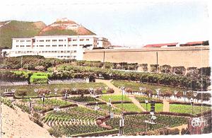 ORAN 005
